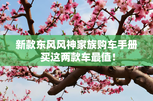 新款东风风神家族购车手册 买这两款车最值！