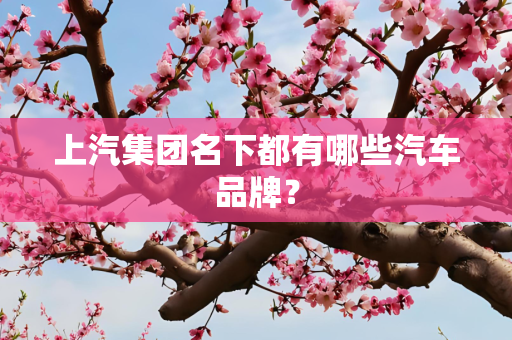 上汽集团名下都有哪些汽车品牌？