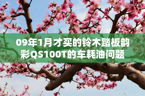 09年1月才买的铃木踏板韵彩QS100T的车耗油问题