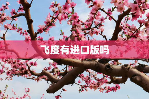 飞度有进口版吗