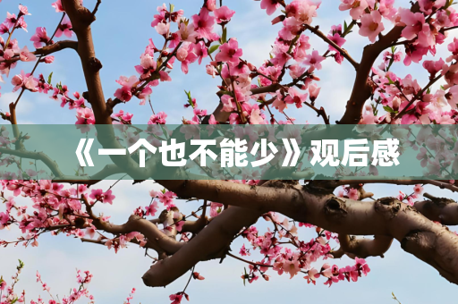 《一个也不能少》观后感