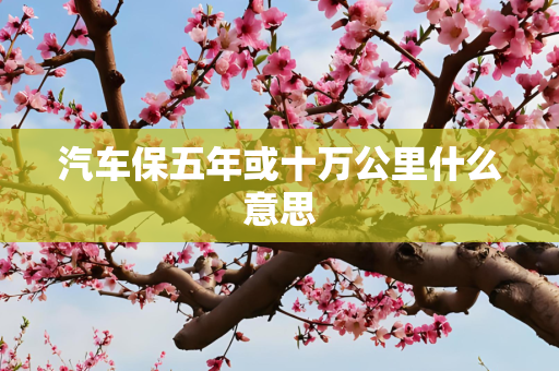 汽车保五年或十万公里什么意思