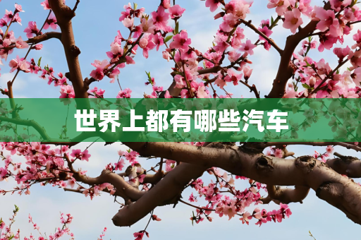 世界上都有哪些汽车