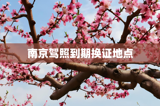 南京驾照到期换证地点