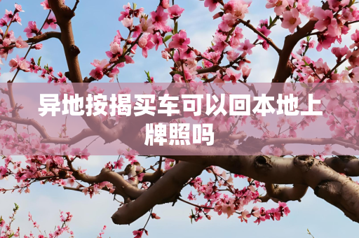 异地按揭买车可以回本地上牌照吗