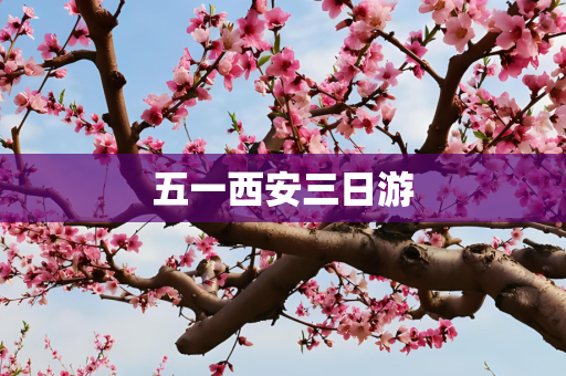 第585页