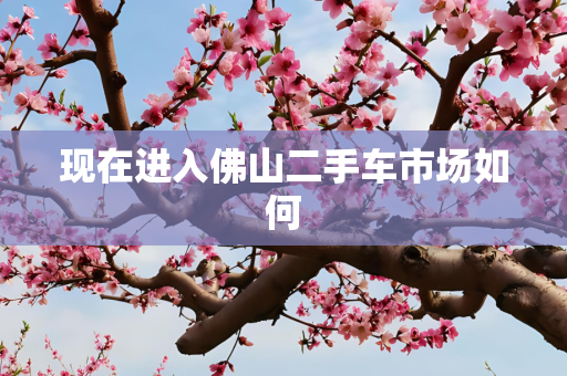 现在进入佛山二手车市场如何
