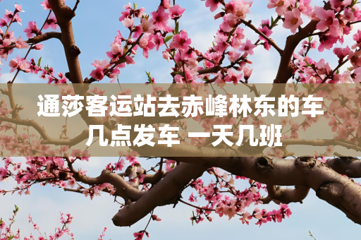 通莎客运站去赤峰林东的车 几点发车 一天几班