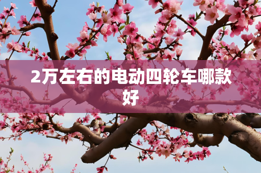 2万左右的电动四轮车哪款好