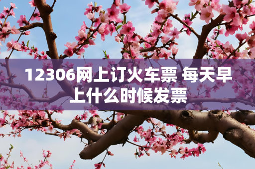 12306网上订火车票 每天早上什么时候发票