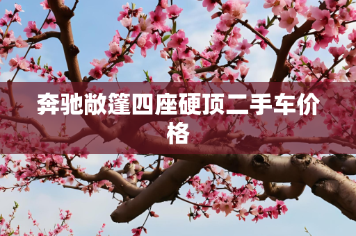 奔驰敞篷四座硬顶二手车价格