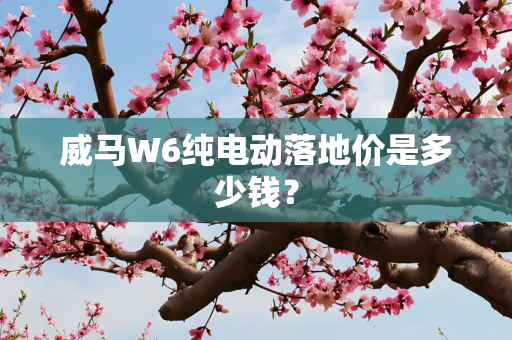 第584页