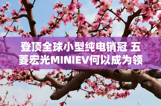 登顶全球小型纯电销冠 五菱宏光MINIEV何以成为领跑者