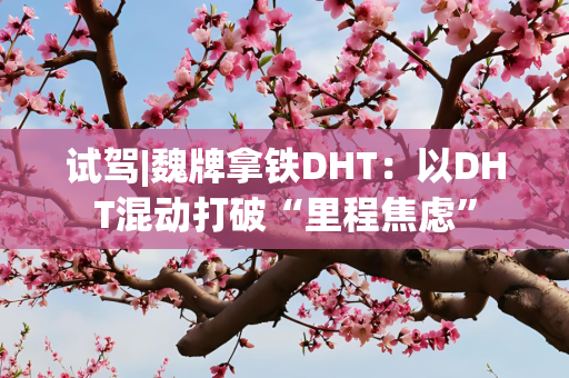 试驾|魏牌拿铁DHT：以DHT混动打破“里程焦虑”