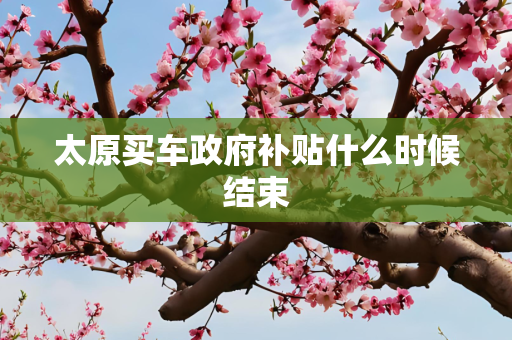 太原买车政府补贴什么时候结束