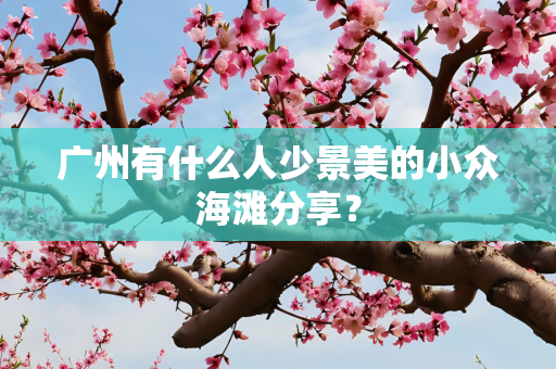 广州有什么人少景美的小众海滩分享？