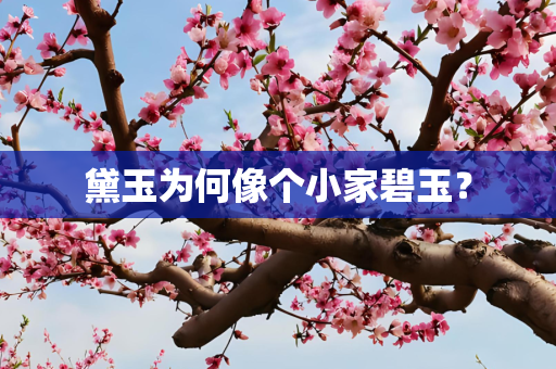 黛玉为何像个小家碧玉？