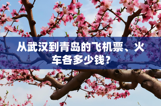 从武汉到青岛的飞机票、火车各多少钱？