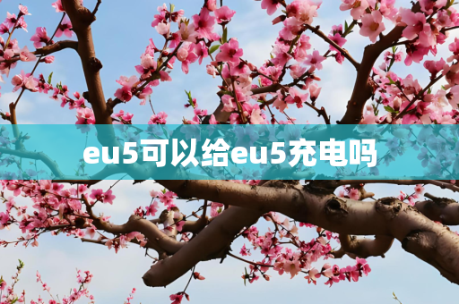 eu5可以给eu5充电吗