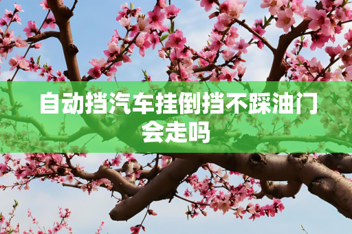 自动挡汽车挂倒挡不踩油门会走吗