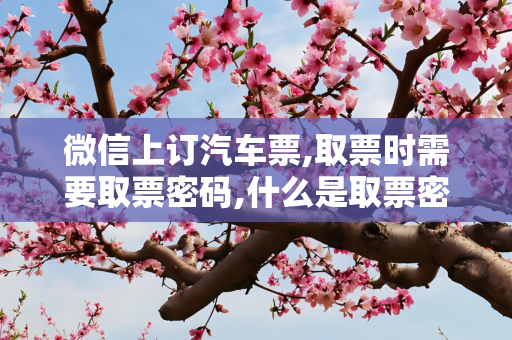 微信上订汽车票,取票时需要取票密码,什么是取票密码?