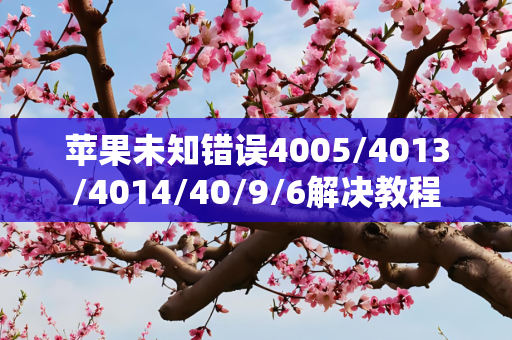 苹果未知错误4005/4013/4014/40/9/6解决教程