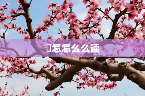 攝怎怎么么读