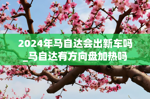 2024年马自达会出新车吗_马自达有方向盘加热吗