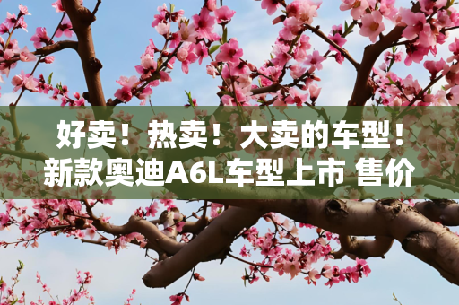 好卖！热卖！大卖的车型！新款奥迪A6L车型上市 售价40.98万元起