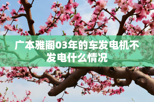 广本雅阁03年的车发电机不发电什么情况