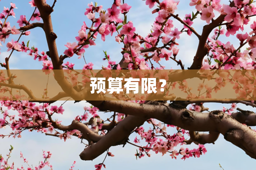 预算有限？