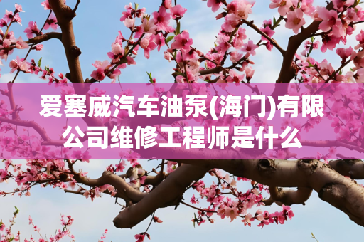 爱塞威汽车油泵(海门)有限公司维修工程师是什么