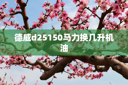 德威d25150马力换几升机油
