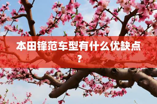 本田锋范车型有什么优缺点？