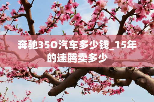 奔驰35O汽车多少钱_15年的速腾卖多少