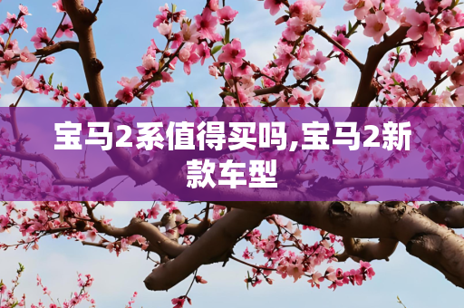 宝马2系值得买吗,宝马2新款车型