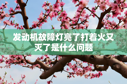 发动机故障灯亮了打着火又灭了是什么问题