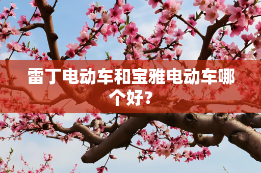 雷丁电动车和宝雅电动车哪个好？