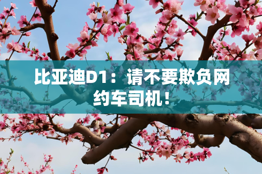 比亚迪D1：请不要欺负网约车司机！