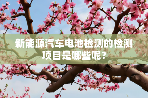 新能源汽车电池检测的检测项目是哪些呢？