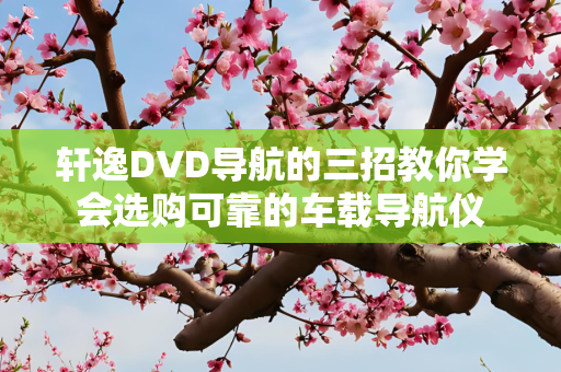 轩逸DVD导航的三招教你学会选购可靠的车载导航仪