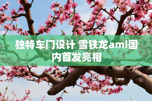 独特车门设计 雪铁龙ami国内首发亮相