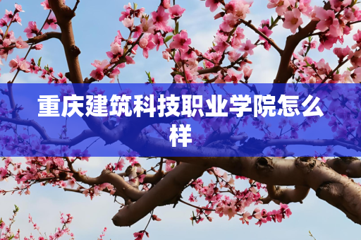 重庆建筑科技职业学院怎么样
