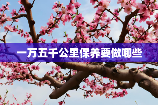 一万五千公里保养要做哪些