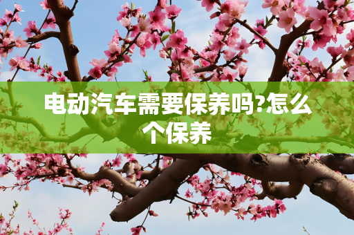 电动汽车需要保养吗?怎么个保养