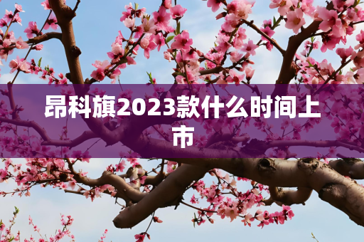 昂科旗2023款什么时间上市