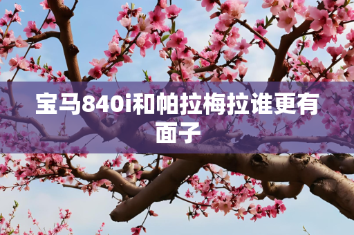 宝马840i和帕拉梅拉谁更有面子
