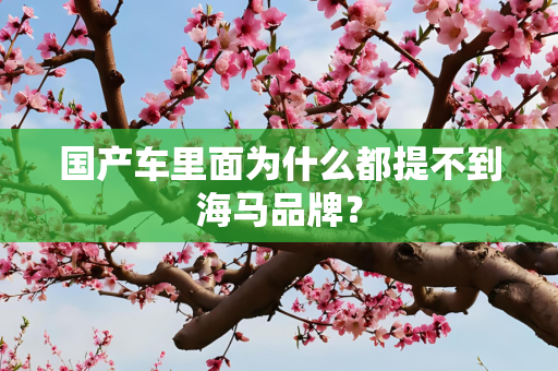 国产车里面为什么都提不到海马品牌？