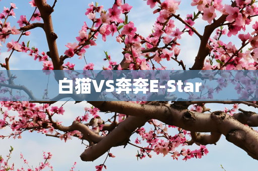 白猫VS奔奔E-Star