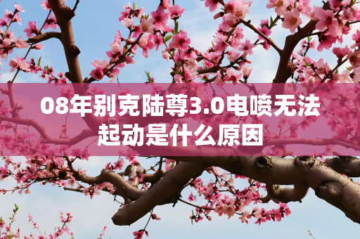 08年别克陆尊3.0电喷无法起动是什么原因